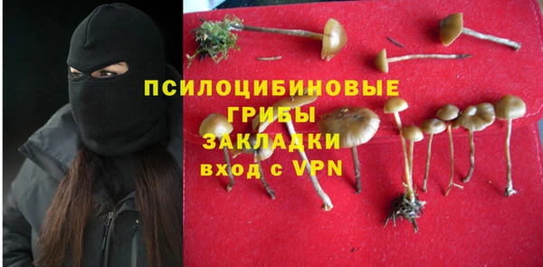 гидропоника Богданович