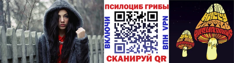 Псилоцибиновые грибы Cubensis Заполярный