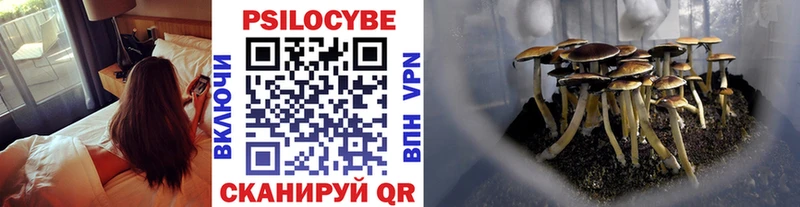 Псилоцибиновые грибы Psilocybine cubensis  KRAKEN вход  Заполярный  цены  